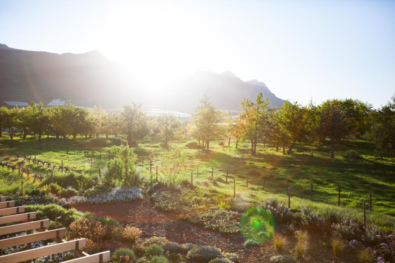 Vineyard Views Country House Riebeek-Kasteel Exterior foto